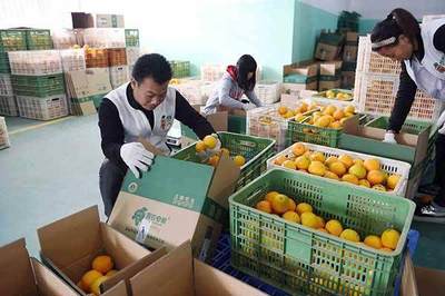 適合基層就業的五大專業門類,但畢業生積極性不高