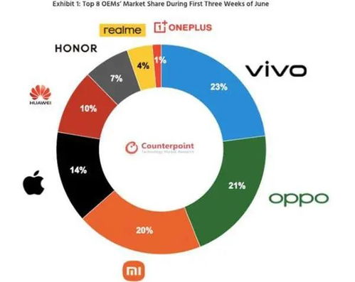 藍(lán)綠廠包攬國(guó)內(nèi)手機(jī)銷量前二