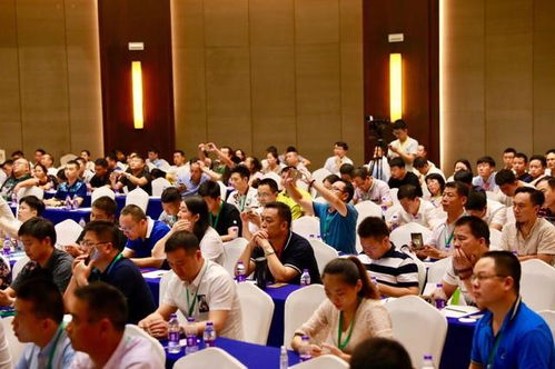 三只兔共享裝修平臺破冰傳統家裝 打通工廠 業主的直銷渠道