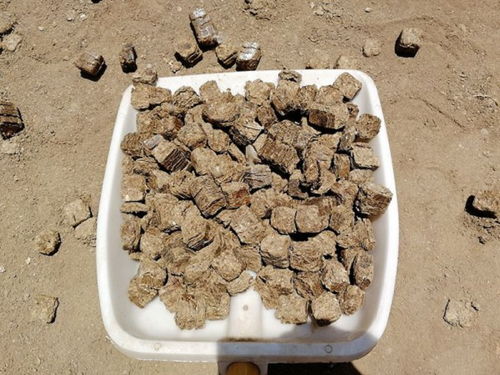 【西安秸稈壓塊燃料價格-專注能源行業】- 