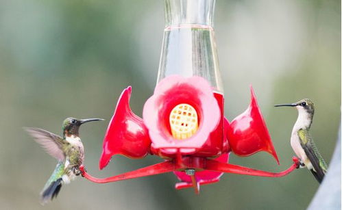 亞馬遜銷量懸崖式下降 20天銷售2萬件,冷門類產(chǎn)品也有大市場
