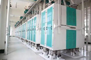 濟南東野面粉廠 誠招全國經銷商